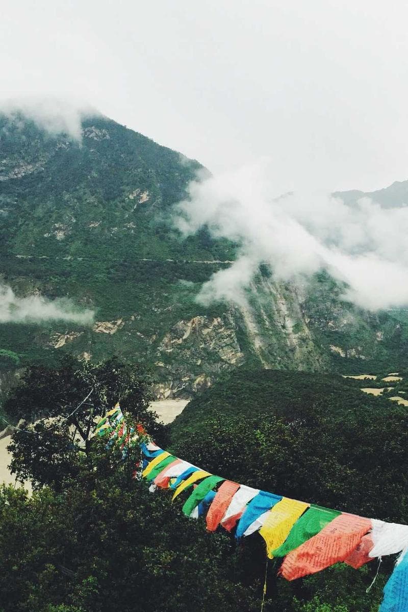 Meghalaya — The cherry blossom trail